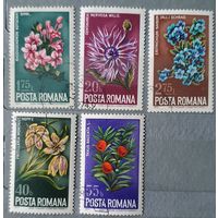 Румыния цветы 5шт