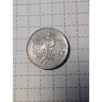 5 грошей Польша 1962 год