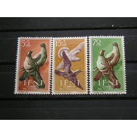Испанская Ифни 1957 Голуби