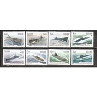 ФФ2 Россия 2005-06 Подводные лодки