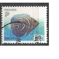 Сингапур. Рыба Императорский Ангел. 2001г. Mi#1082.