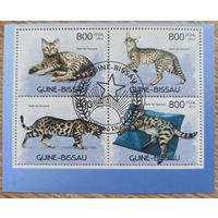 Гвинея-Биссау. Коты, блок