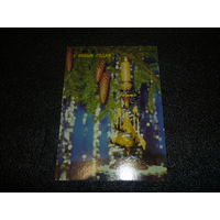 Чистая новогодняя открытка. З НОВЫМ ГОДАМ. СССР