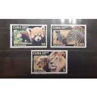 Куба. 2008 год. Фауна (547)