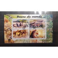 Бурунди. 2011 год. Фауна. Львы. Блок (малый лист 4 марки) (595)