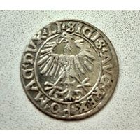 Полугрош 1556 г. Сигизмунд II Август.