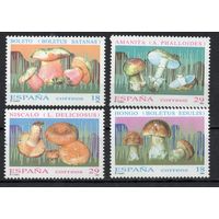 Испания 1994. Грибы 4 марки 3140-43