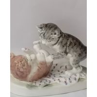 Котята. Конаково.