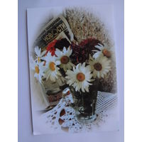 Календарик 2001 г. Мингорсоюзпечать.