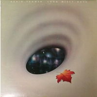 Robin Trower (Ex. guitar Procol Harum) – Long Misty Days, LP 1976