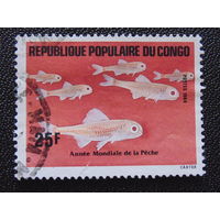 Конго 1984г. Рыбы.