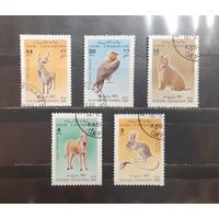 Афганистан. 1989 год. Фауна (1044)