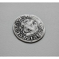 Полугрош 1510 г., Сигизмунд I Старый, Вильно, лот рп-7,2