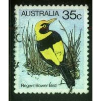 Австралия - 1980 [Mi. 716] Гашеная (AU17)