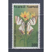 [1073] Тунис 1994. Фауна.Бабочка. Гашеная марка.