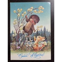 Зарубин С днем 8 марта 1987 чистая открытка СССР