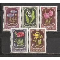 ФФ1 Венгрия 1951 Цветы