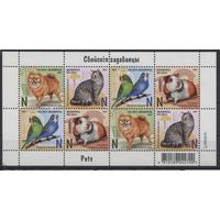 1654-1657. Домашние питомцы. Фауна. Животные. Собака. Кошка. Попугай. Хомяк. 2025 год. Беларусь **