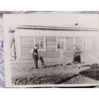 Фото в коллекцию