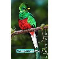 Werty71 Гватемала 1 кетсаль 2024 UNC банкнота 100 лет Национальной валюте кетцаль