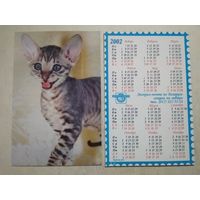 Карманный календарик . Котик. Белпочта. 2002 год