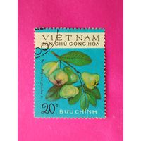 Вьетнам. Флора. ( 1 марка ). 11-1.