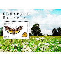 1996 БЕЛАРУСЬ  блок коллекционных марок  Голубянка Бабочки  MNH