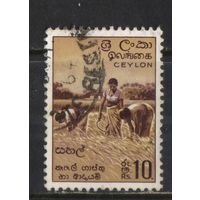 Цейлон Шри Ланка 1951 Уборка риса Стандарт Концовка #276