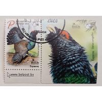 Птица года. Глухарь. Полная серия с купоном, 2020