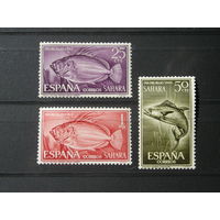 Испанская Сахара 1963 Рыбы