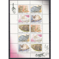 Фауна. Кошки. Россия. 1996. Малый лист. СК N 266-270 (300 р)