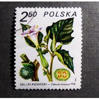 Марка Польша 1980 год Флора