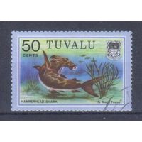 [239] Тувалу 1979. Фауна.Рыба. Гашеная марка.