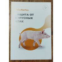 Буклет-Защита от вирусных атак.