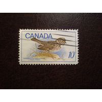 Канада 1969 г.Ипсвичский воробей./44а/