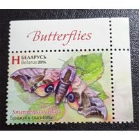 Лот 248 Беларусь (2016) Бабочки. Бражник глазчатый BY1156