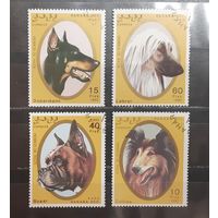 Сахара. 1992 год. Фауна. Собаки (1049)