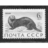 СССР 1971. Морская фауна. Калан