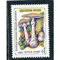 СССР 1986. Ядовитые грибы. Бледная поганка
