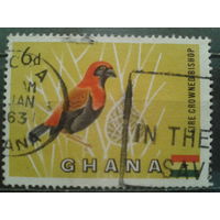Гана, 1959. Пламенный ткач