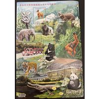 Тайвань Китай 2014 100 летие Тайбэйского зоопарка