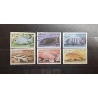 Афганистан. 1998 год. Фауна. Рыбы (1)