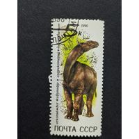 1990 СССР. Ископаемые животные. Индрикотерий