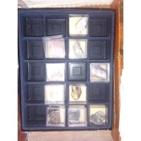 Окаменелости