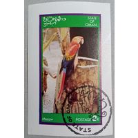 Оман(state). Попугаи.