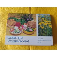 Блюда из дикорастущих трав