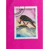 Кыргызстан. Киргизия. Хищные птицы. ( 1 марка ) 1995 года. 2-14.