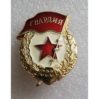 Знак Гвардия ВС СССР #0116-MB03