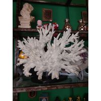 Большой коралл 43 х 27 см