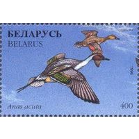 Беларусь 1996 фауна утки